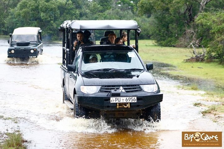 Glamping & Safari - Wilpattu National Park - Photo 1 of 6